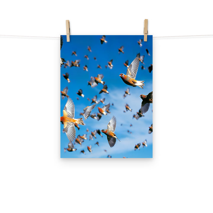 Finch Photo paper poster - PosterfyAI.com