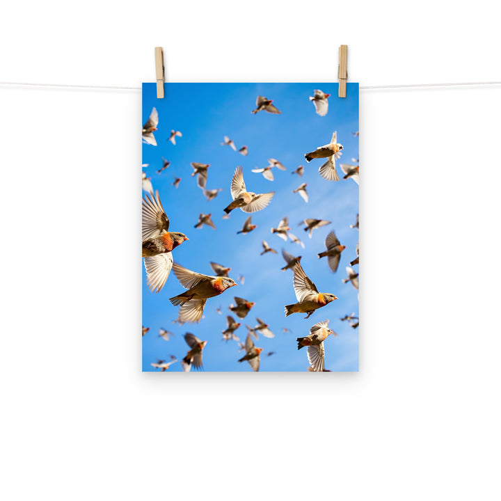 Finch Photo paper poster - PosterfyAI.com