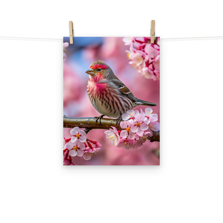 Finch Photo paper poster - PosterfyAI.com