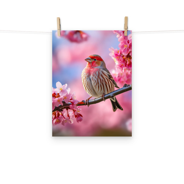 Finch Photo paper poster - PosterfyAI.com