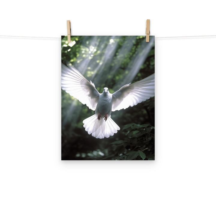 Dove Photo paper poster - PosterfyAI.com