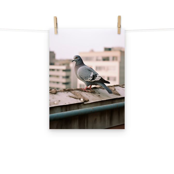 Pigeon Photo paper poster - PosterfyAI.com
