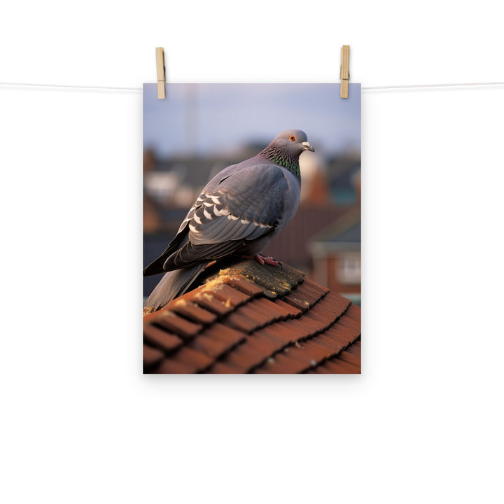 Pigeon Photo paper poster - PosterfyAI.com