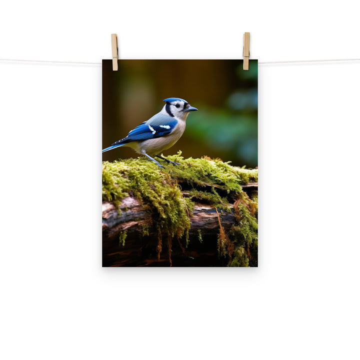 Jay Photo paper poster - PosterfyAI.com