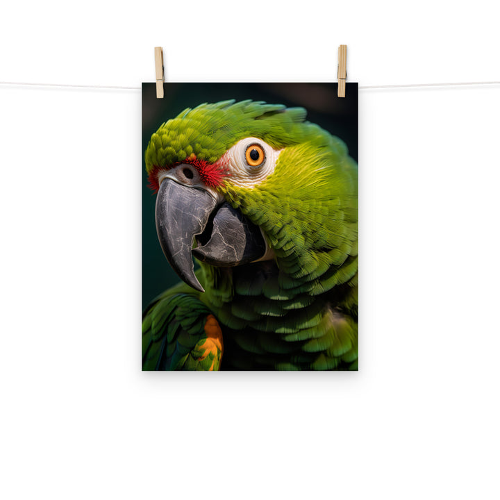 Parrot Photo paper poster - PosterfyAI.com