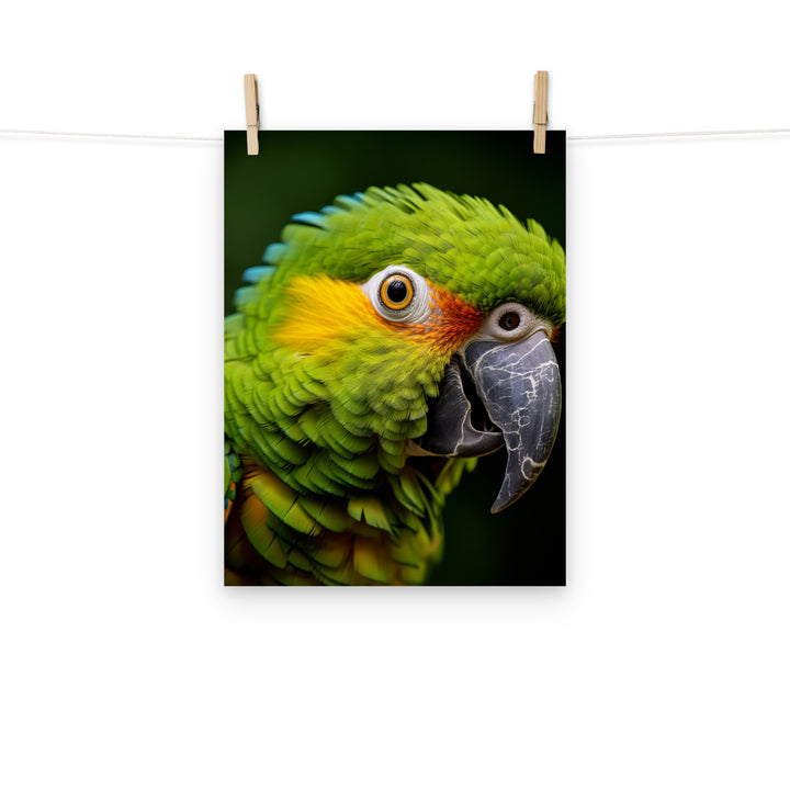 Parrot Photo paper poster - PosterfyAI.com