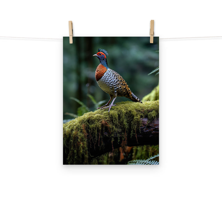 Pheasant Photo paper poster - PosterfyAI.com