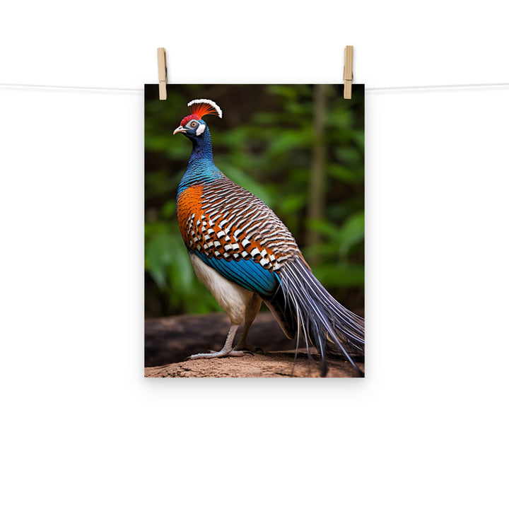 Pheasant Photo paper poster - PosterfyAI.com