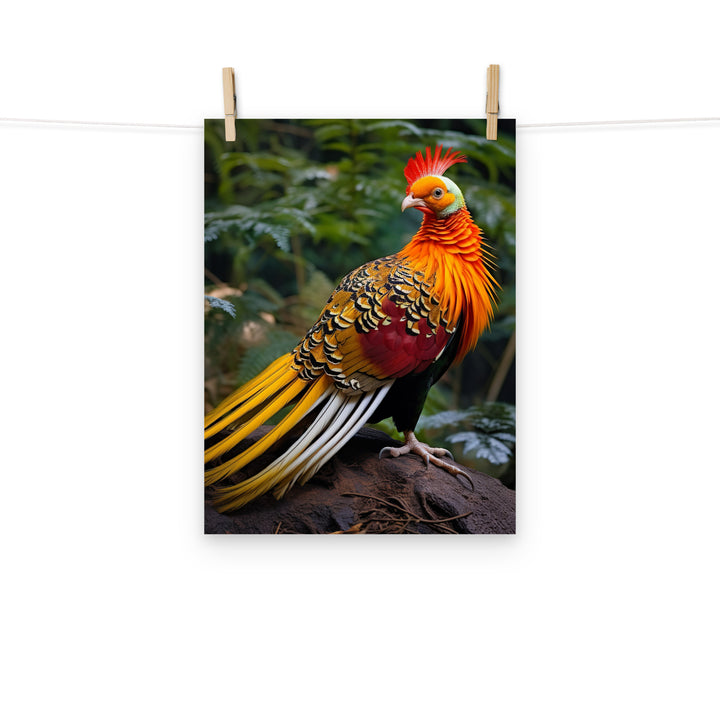 Pheasant Photo paper poster - PosterfyAI.com