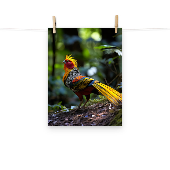 Pheasant Photo paper poster - PosterfyAI.com