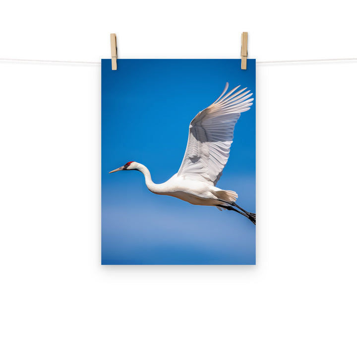 Crane Photo paper poster - PosterfyAI.com