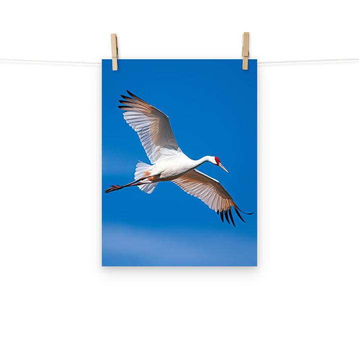Crane Photo paper poster - PosterfyAI.com