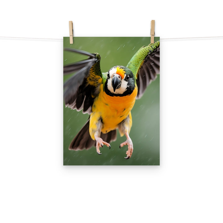 Caique Photo paper poster - PosterfyAI.com