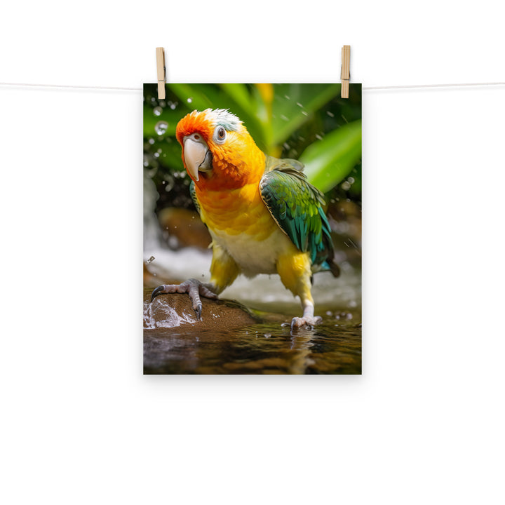Caique Photo paper poster - PosterfyAI.com