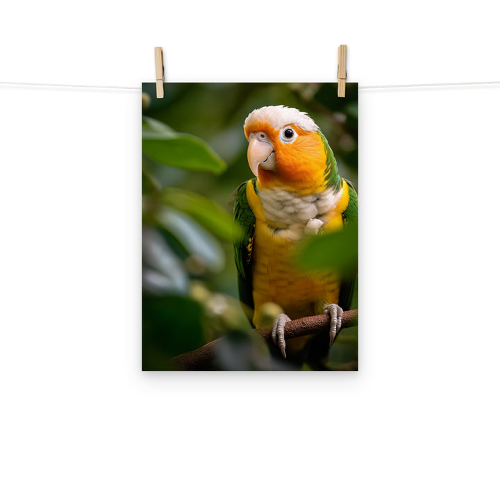 Caique Photo paper poster - PosterfyAI.com