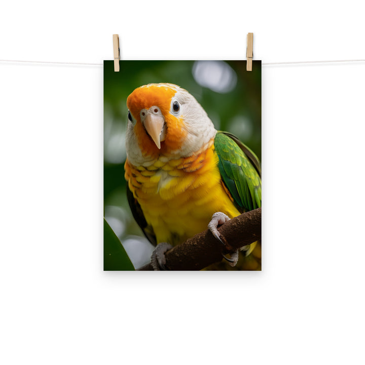 Caique Photo paper poster - PosterfyAI.com