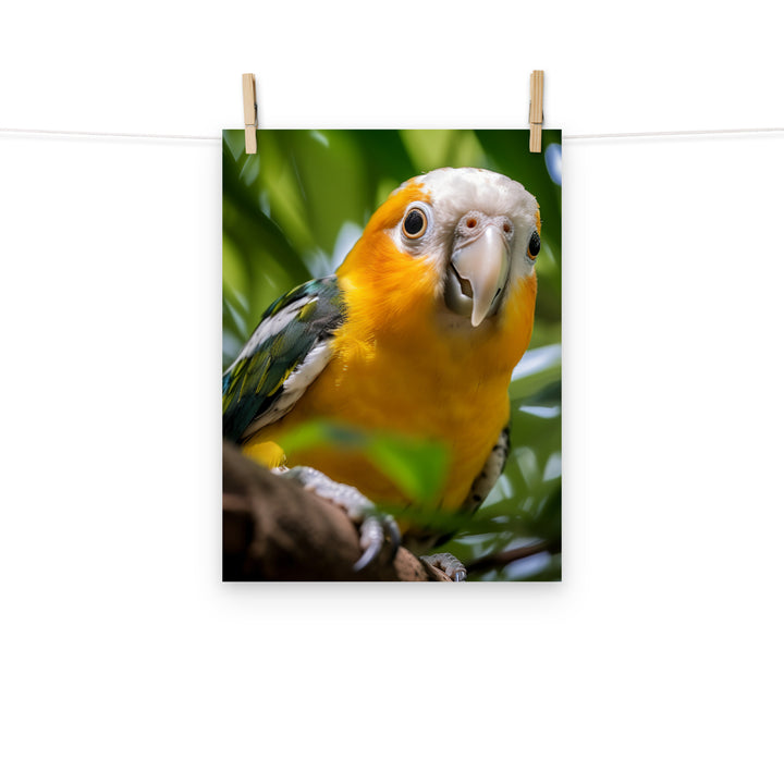 Caique Photo paper poster - PosterfyAI.com