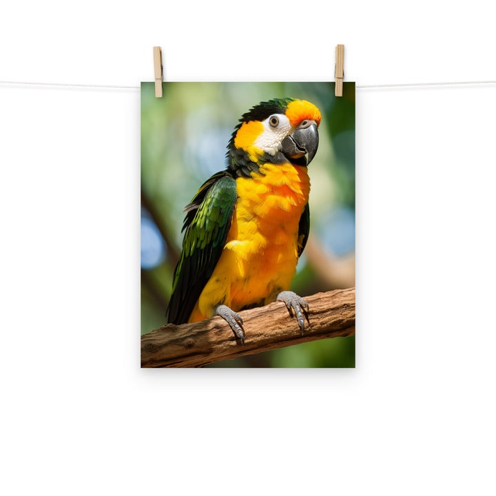 Caique Photo paper poster - PosterfyAI.com