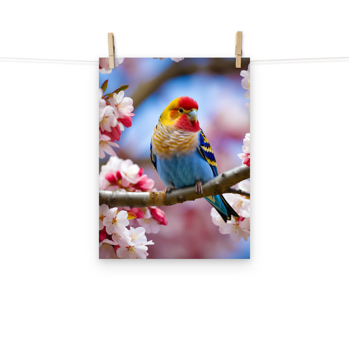 Rosella Photo paper poster - PosterfyAI.com