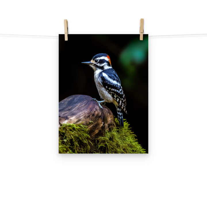 Woodpecker Photo paper poster - PosterfyAI.com