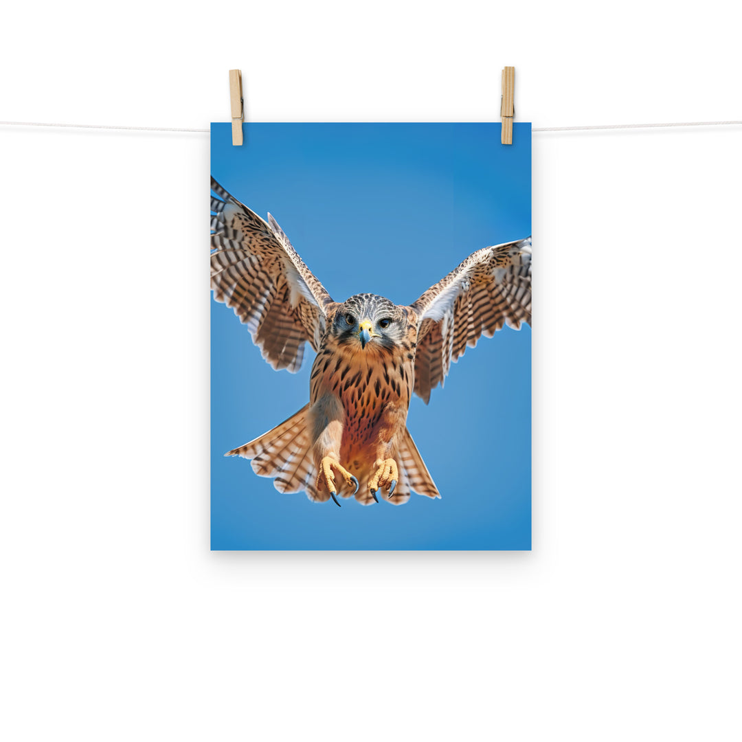 Falcon Photo paper poster - PosterfyAI.com