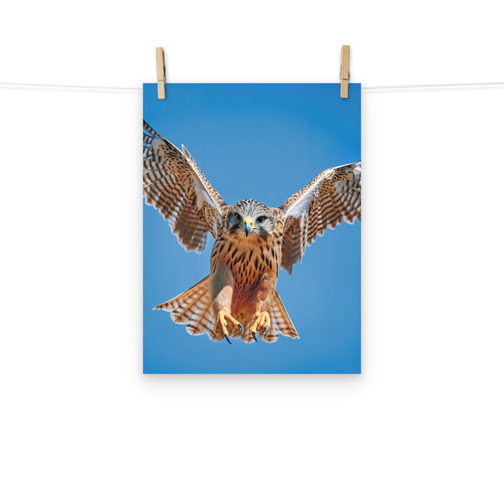 Falcon Photo paper poster - PosterfyAI.com
