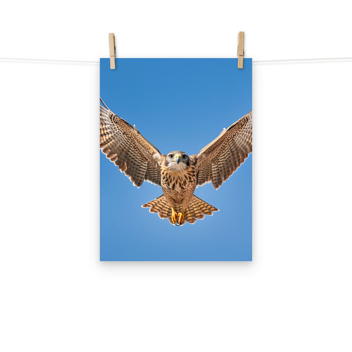 Falcon Photo paper poster - PosterfyAI.com