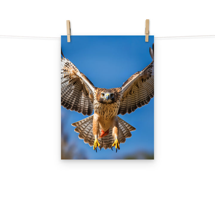 Hawk Photo paper poster - PosterfyAI.com