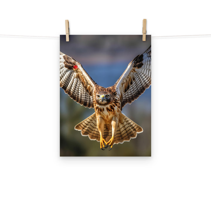 Hawk Photo paper poster - PosterfyAI.com