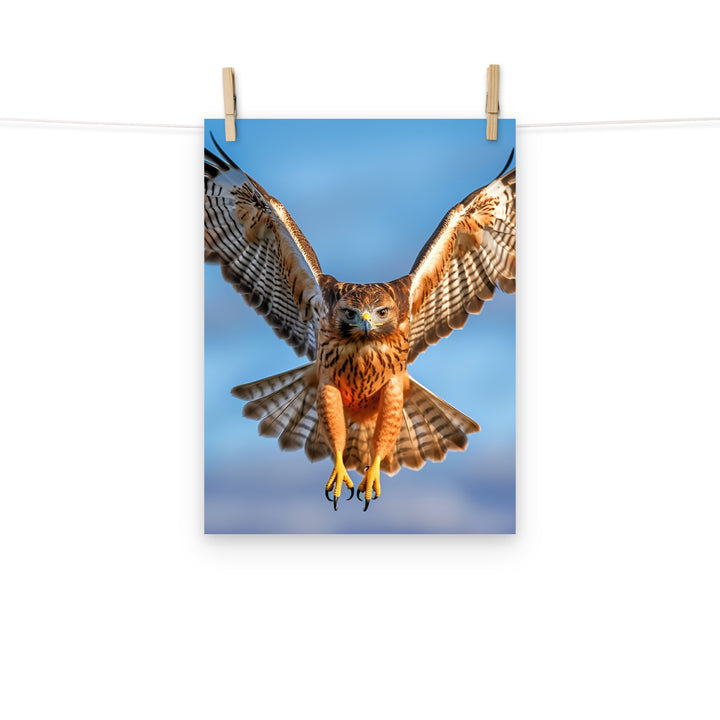 Hawk Photo paper poster - PosterfyAI.com