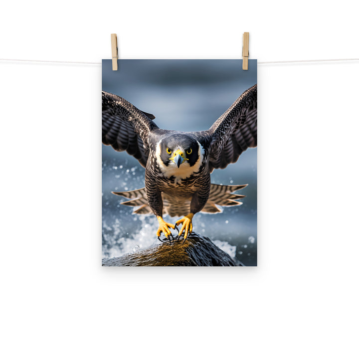 Falcon Photo paper poster - PosterfyAI.com