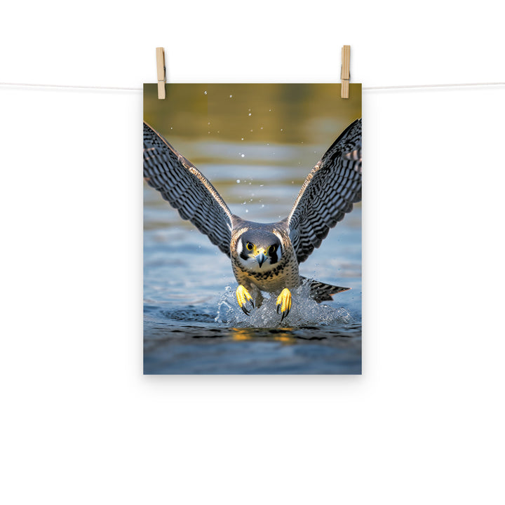 Falcon Photo paper poster - PosterfyAI.com