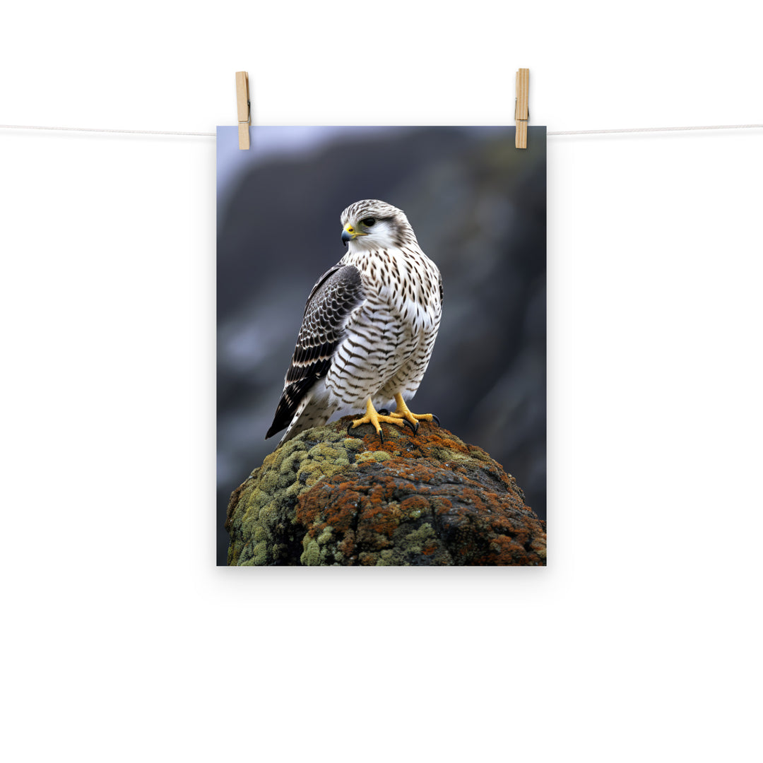 Gyrfalcon Photo paper poster - PosterfyAI.com