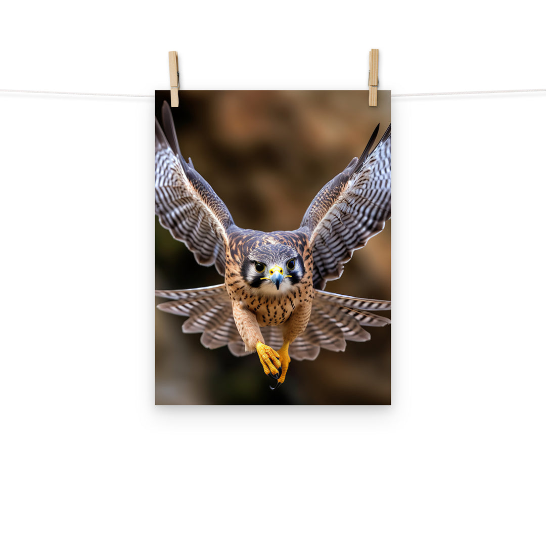 Falcon Photo paper poster - PosterfyAI.com