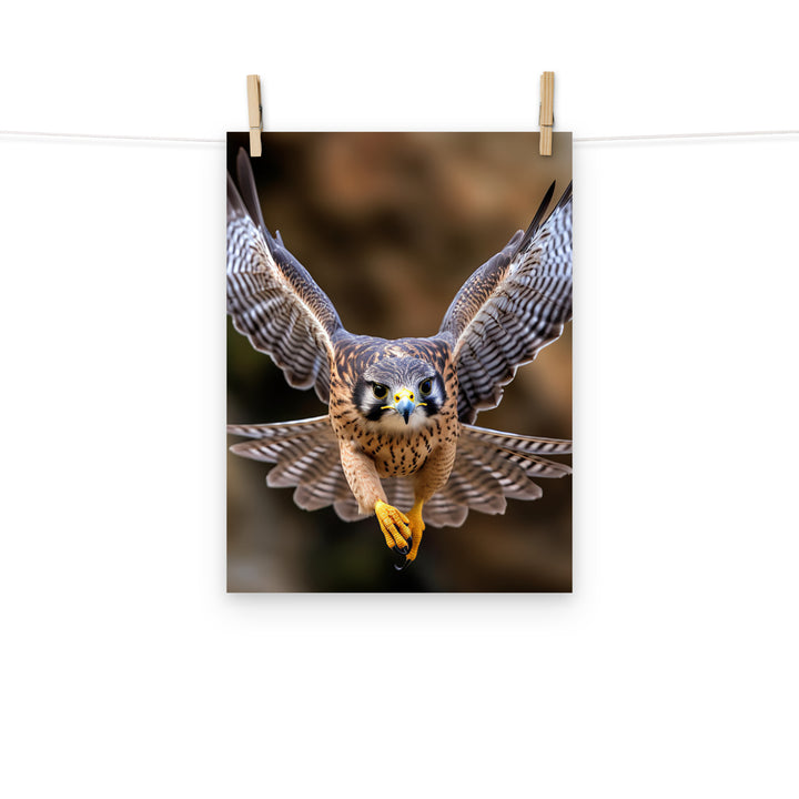 Falcon Photo paper poster - PosterfyAI.com