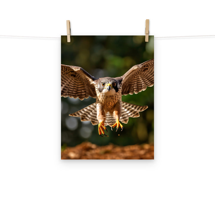 Falcon Photo paper poster - PosterfyAI.com