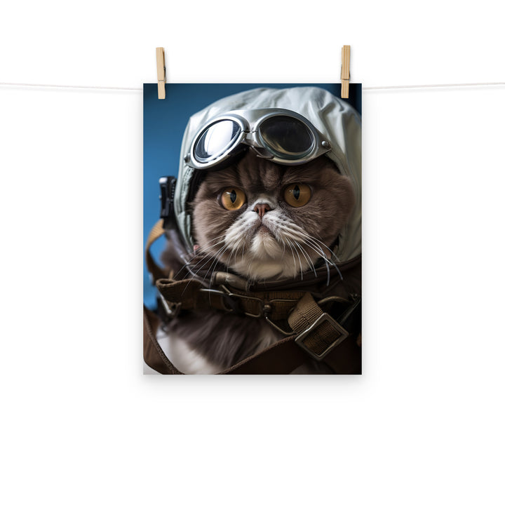Exotic Shorthair Pilot Photo paper poster - PosterfyAI.com