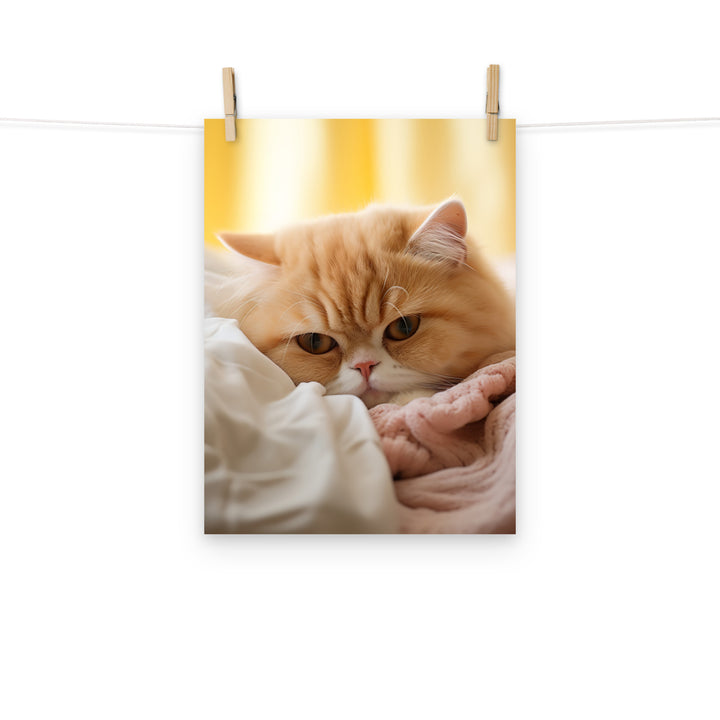 Exotic Shorthair Photo paper poster - PosterfyAI.com