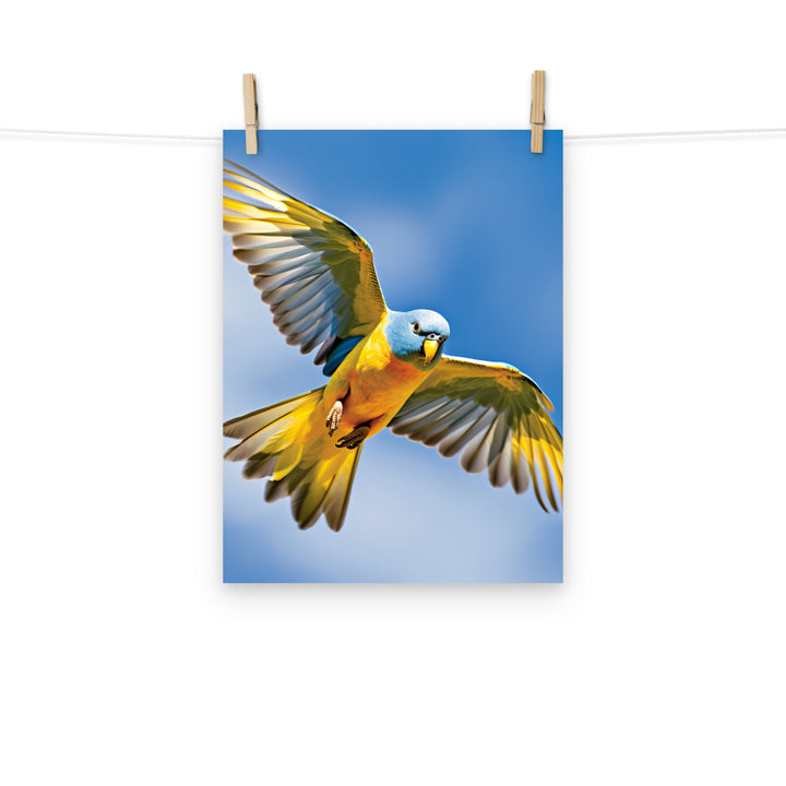 Parakeet Photo paper poster - PosterfyAI.com
