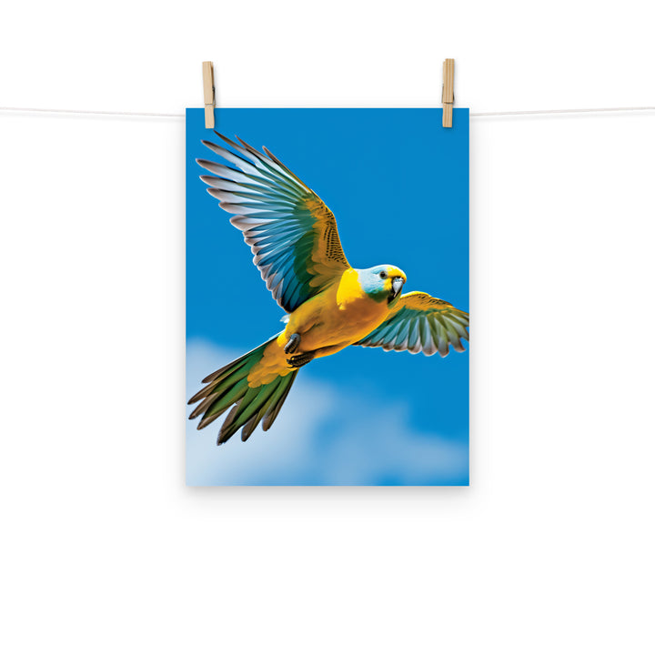 Parakeet Photo paper poster - PosterfyAI.com