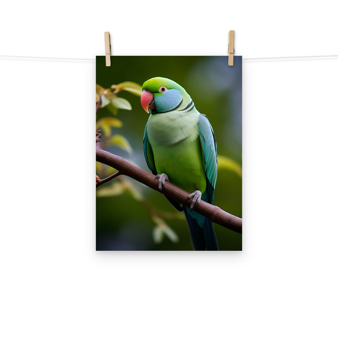 Parakeet Photo paper poster - PosterfyAI.com