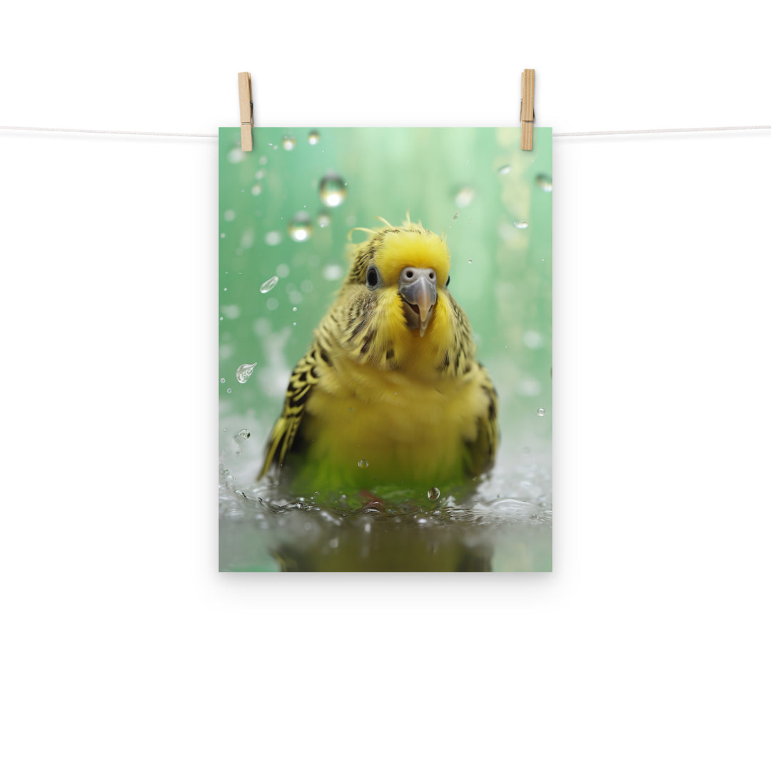 Budgerigar Photo paper poster - PosterfyAI.com