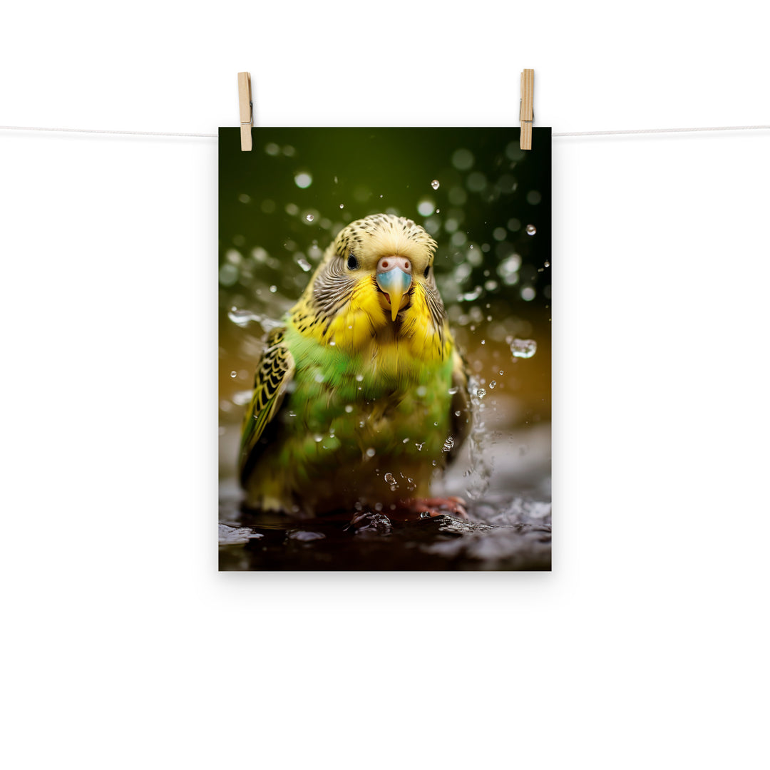 Budgerigar Photo paper poster - PosterfyAI.com