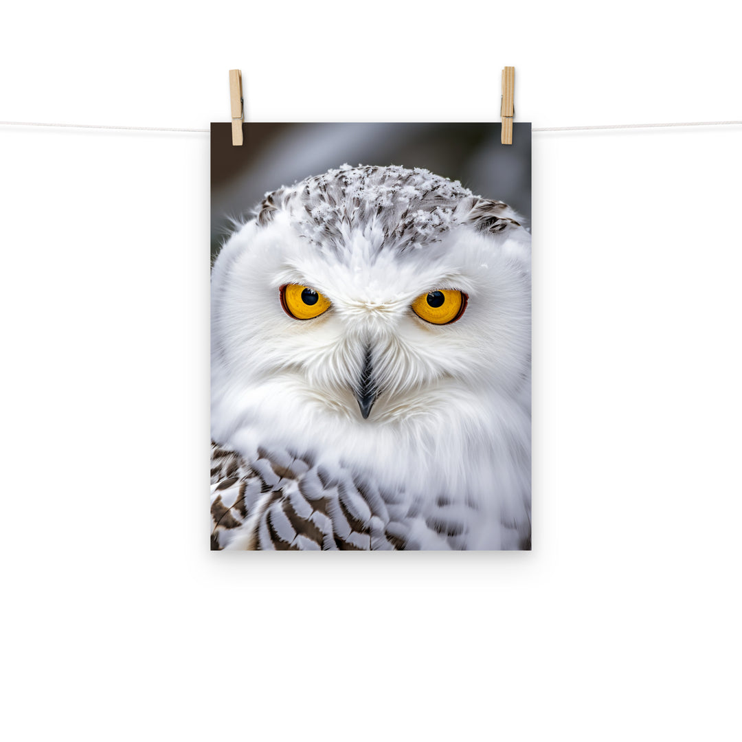 Owl Photo paper poster - PosterfyAI.com