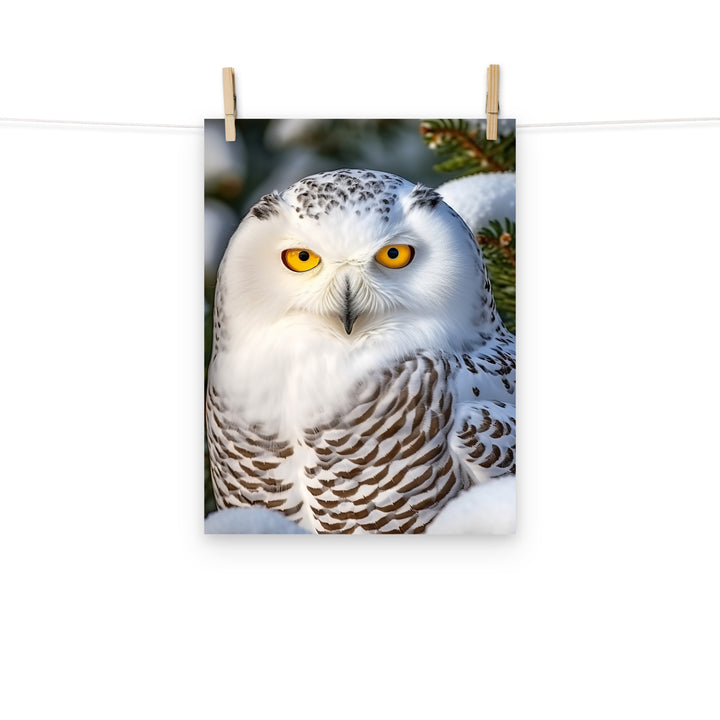 Owl Photo paper poster - PosterfyAI.com