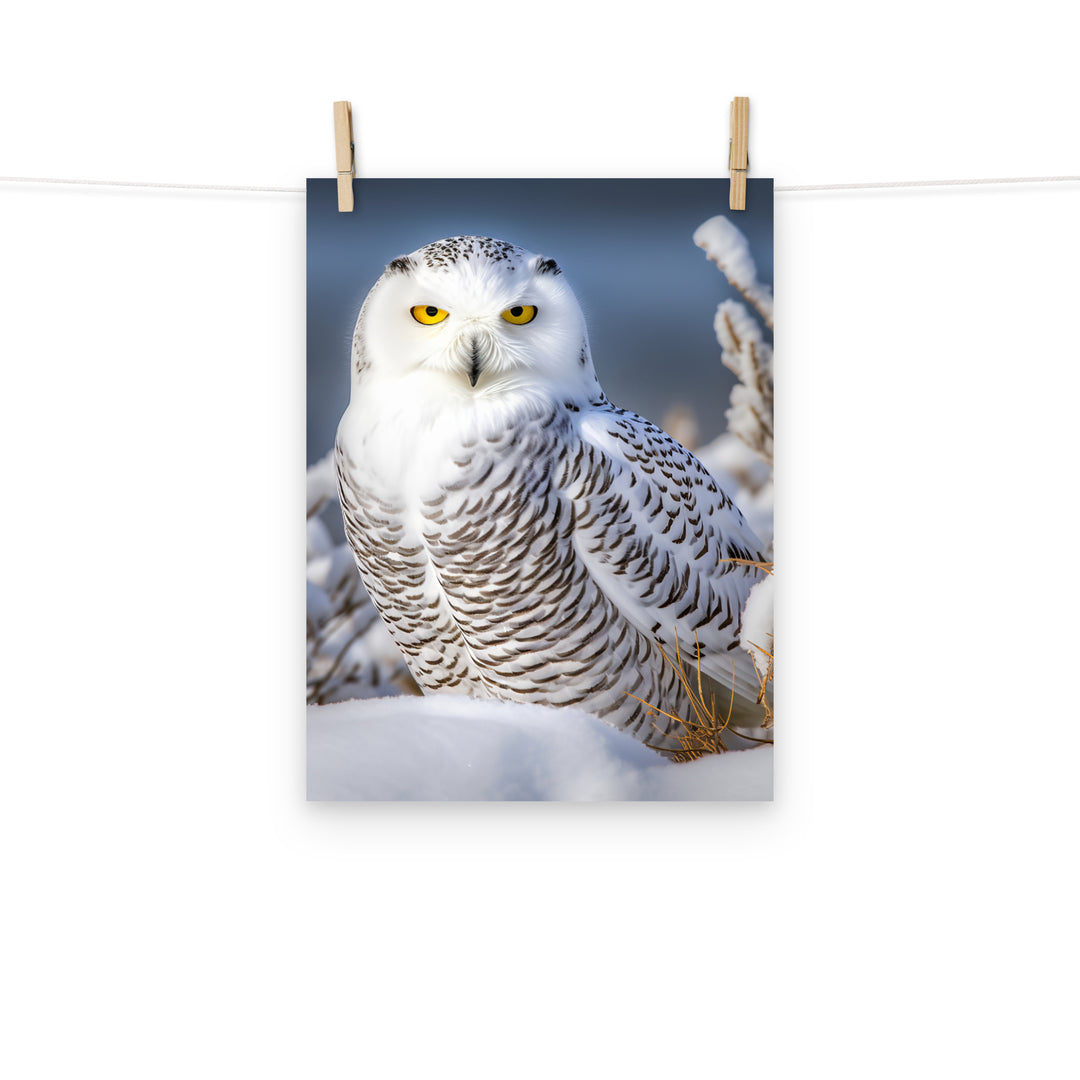 Owl Photo paper poster - PosterfyAI.com