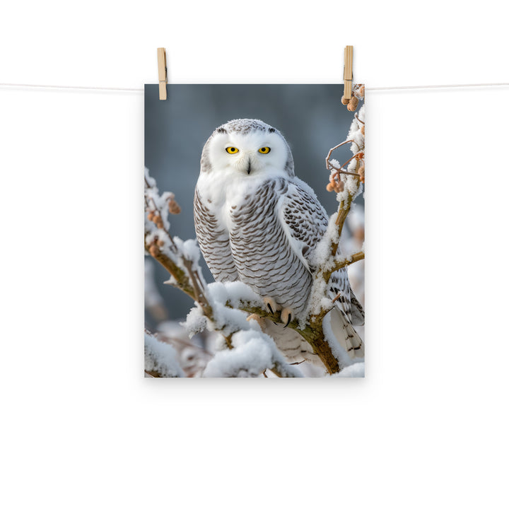 Owl Photo paper poster - PosterfyAI.com