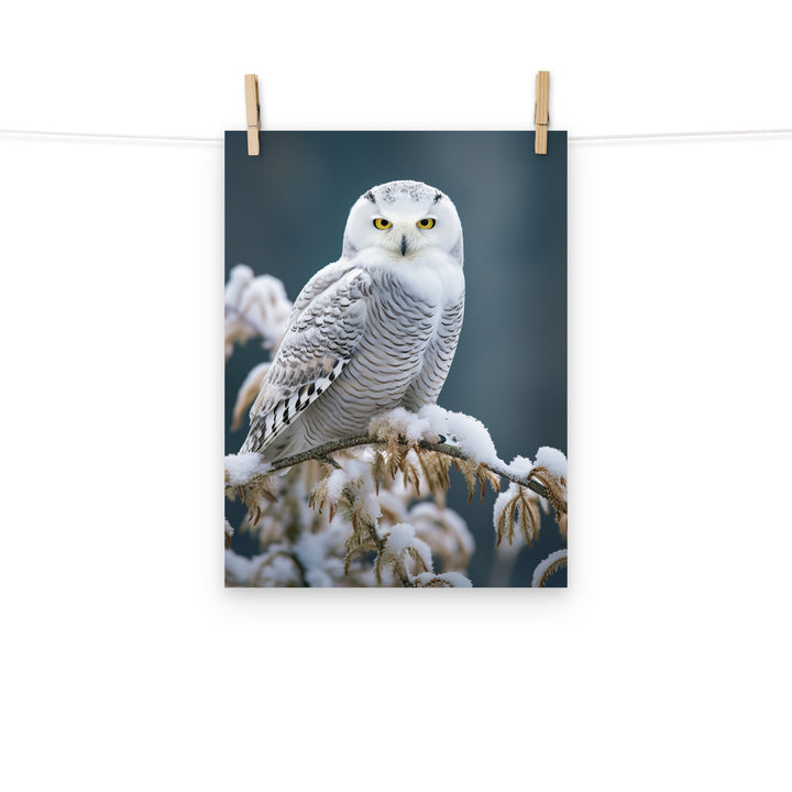 Owl Photo paper poster - PosterfyAI.com