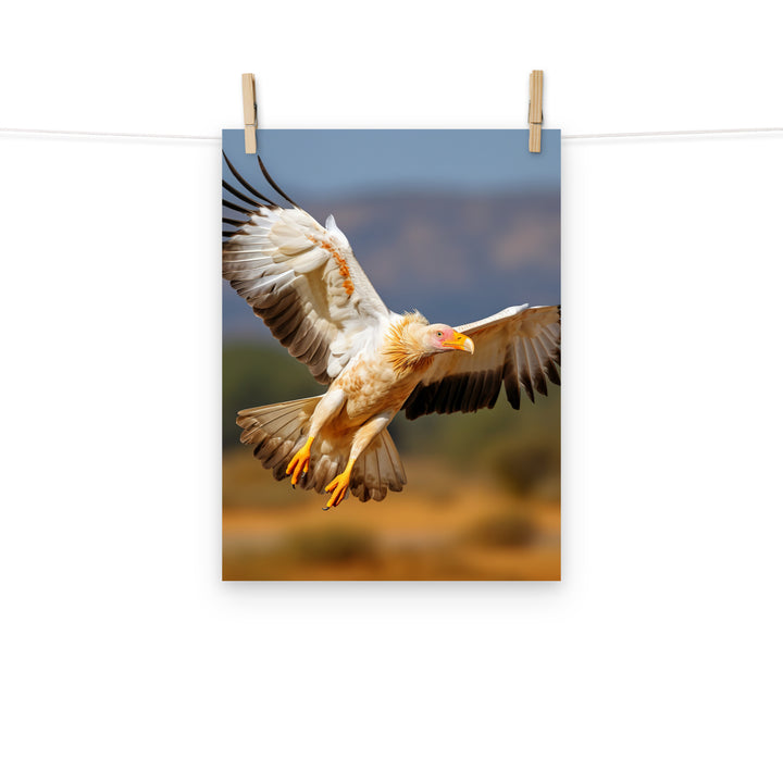 Vulture Photo paper poster - PosterfyAI.com