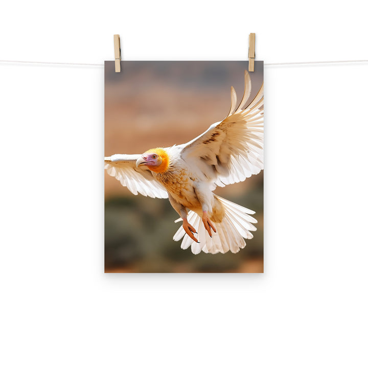 Vulture Photo paper poster - PosterfyAI.com